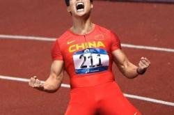 爱游戏官网-中国运动员在奥运赛场上奋勇拼搏，带来光辉战绩的简单介绍