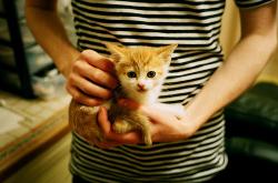 AYX官方直播-跨界统治力，从NBA的凯尔特人到德甲的爱德华兹，竞技场上的接管艺术