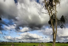 爱游戏网页版-楚阿梅尼掌控全局，贝蒂斯横扫厄瓜多尔展现战术唯一性