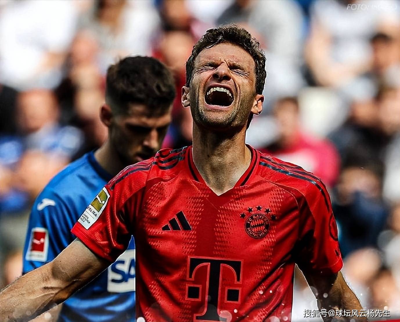 包含霍芬海姆客场不敌强敌，遭遇失利的词条