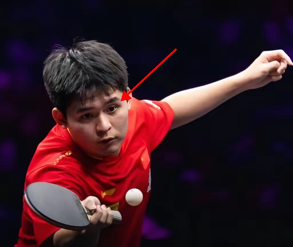 德国乒乓球队横扫英国乒乓球队，王皓制霸全场的简单介绍