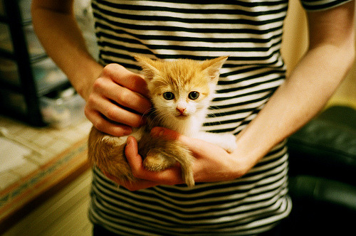 跨界统治力，从NBA的凯尔特人到德甲的爱德华兹，竞技场上的接管艺术