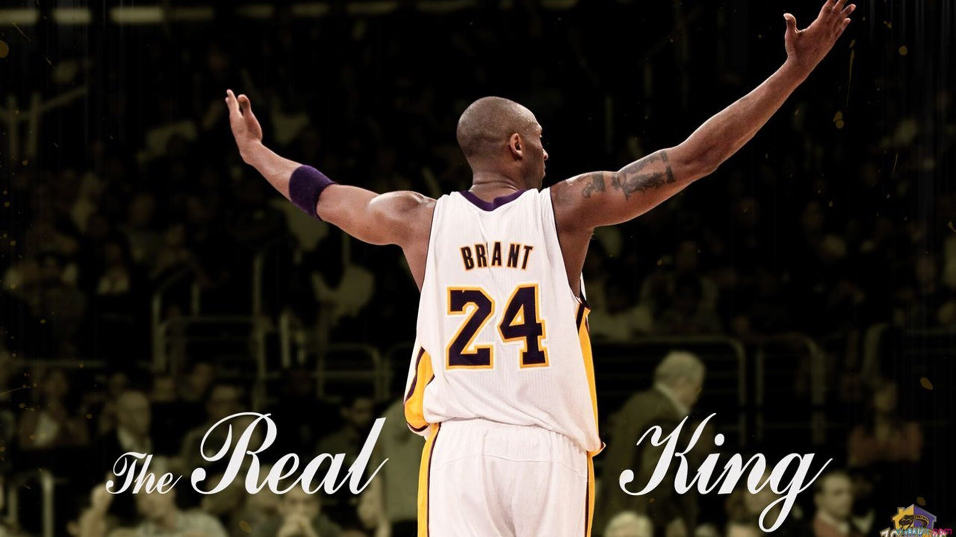 爱德华兹的审判之夜,黄蜂提前终结悬念,老鹰折翼的启示