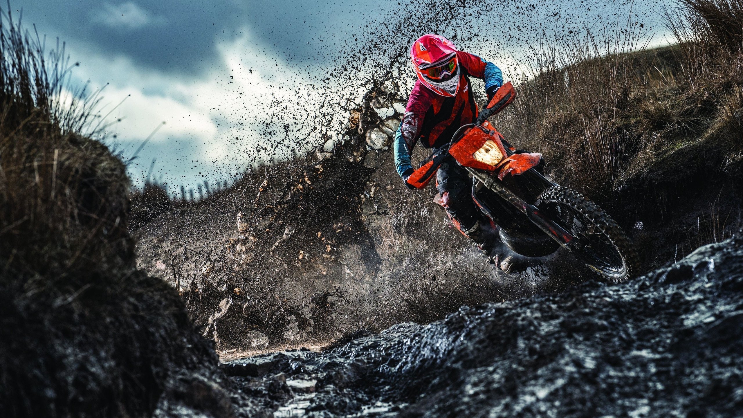 塞维利亚的烈日与北境的雪,当安达卢西亚红遭遇德意志白,凯恩的双面统治